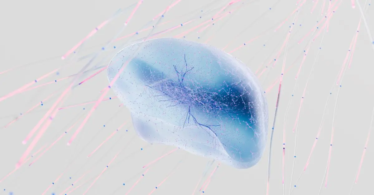 Comparazione tra Reti Neurali e Sistemi Tradizionali