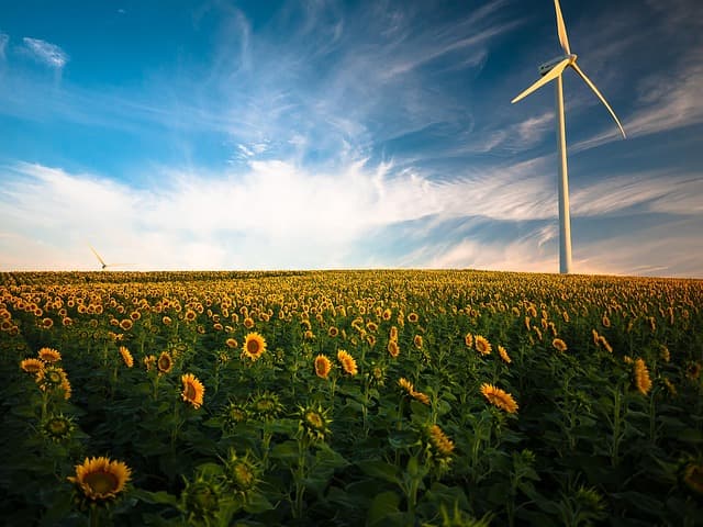 Come le Tecnologie Sostenibili Trasformeranno il Mercato Energetico